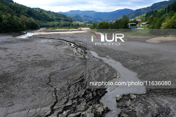 Several thousand dead fish are found following the emptying of the Collanges dam in Saint Michel d'Aurance in Ardeche, France, on October 4,...