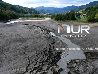 Several thousand dead fish are found following the emptying of the Collanges dam in Saint Michel d'Aurance in Ardeche, France, on October 4,...