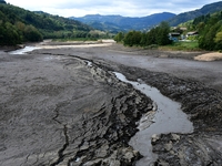 Several thousand dead fish are found following the emptying of the Collanges dam in Saint Michel d'Aurance in Ardeche, France, on October 4,...