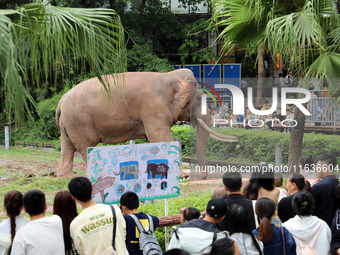 Tourists view an elephant performance at Chongqing Zoo in Chongqing, China, on October 3, 2024. (