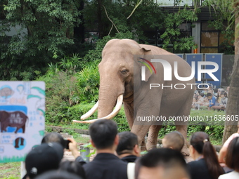 Tourists view an elephant performance at Chongqing Zoo in Chongqing, China, on October 3, 2024. (