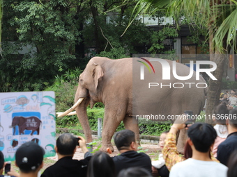 Tourists view an elephant performance at Chongqing Zoo in Chongqing, China, on October 3, 2024. (