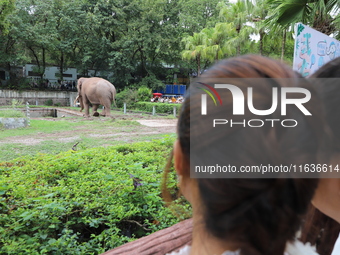 Tourists view an elephant performance at Chongqing Zoo in Chongqing, China, on October 3, 2024. (