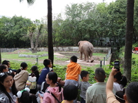 Tourists view an elephant performance at Chongqing Zoo in Chongqing, China, on October 3, 2024. (