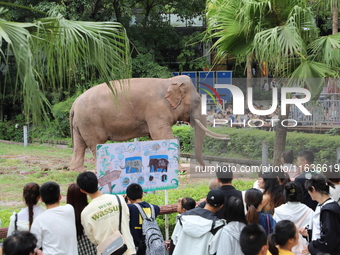 Tourists view an elephant performance at Chongqing Zoo in Chongqing, China, on October 3, 2024. (