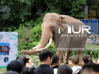 Tourists view an elephant performance at Chongqing Zoo in Chongqing, China, on October 3, 2024. (