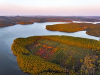 The scenery of Jingyuetan National Forest Park in Changchun, Jilin province, China, on October 4, 2024, is shown. (