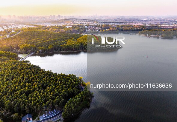 The scenery of Jingyuetan National Forest Park in Changchun, Jilin province, China, on October 4, 2024, is shown. 