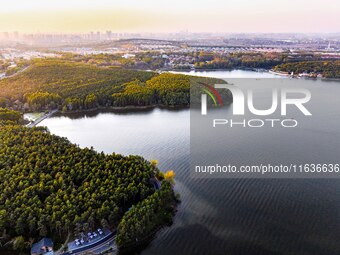 The scenery of Jingyuetan National Forest Park in Changchun, Jilin province, China, on October 4, 2024, is shown. (