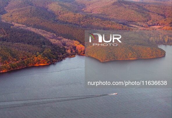 The scenery of Jingyuetan National Forest Park in Changchun, Jilin province, China, on October 4, 2024, is shown. 