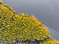 The scenery of Jingyuetan National Forest Park in Changchun, Jilin province, China, on October 4, 2024, is shown. (