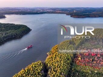 The scenery of Jingyuetan National Forest Park in Changchun, Jilin province, China, on October 4, 2024, is shown. (