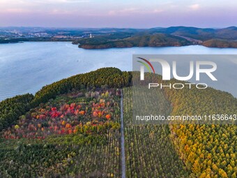 The scenery of Jingyuetan National Forest Park in Changchun, Jilin province, China, on October 4, 2024, is shown. (