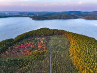 The scenery of Jingyuetan National Forest Park in Changchun, Jilin province, China, on October 4, 2024, is shown. (