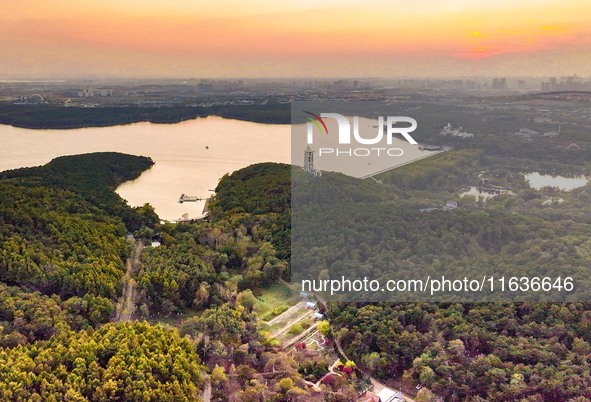 The scenery of Jingyuetan National Forest Park in Changchun, Jilin province, China, on October 4, 2024, is shown. 