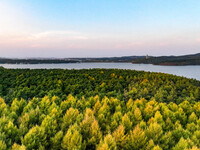 The scenery of Jingyuetan National Forest Park in Changchun, Jilin province, China, on October 4, 2024, is shown. (