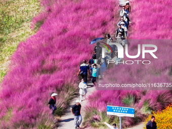 Tourists play among the blooming flowers at Santaishan National Forest Park in Suqian, China, on October 4, 2024. (