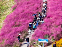 Tourists play among the blooming flowers at Santaishan National Forest Park in Suqian, China, on October 4, 2024. (