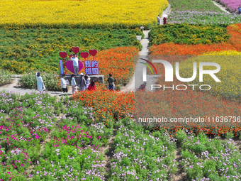 Tourists play among the blooming flowers at Santaishan National Forest Park in Suqian, China, on October 4, 2024. (