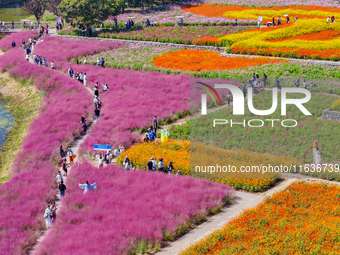 Tourists play among the blooming flowers at Santaishan National Forest Park in Suqian, China, on October 4, 2024. (