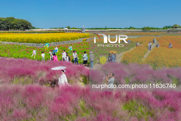 Tourists play among the blooming flowers at Santaishan National Forest Park in Suqian, China, on October 4, 2024. 