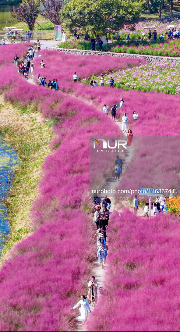 Tourists play among the blooming flowers at Santaishan National Forest Park in Suqian, China, on October 4, 2024. 