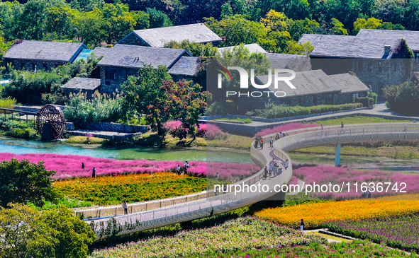 Tourists play among the blooming flowers at Santaishan National Forest Park in Suqian, China, on October 4, 2024. 