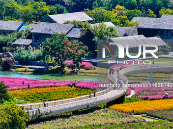 Tourists play among the blooming flowers at Santaishan National Forest Park in Suqian, China, on October 4, 2024. (