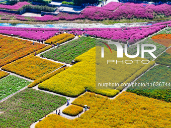 Tourists play among the blooming flowers at Santaishan National Forest Park in Suqian, China, on October 4, 2024. (