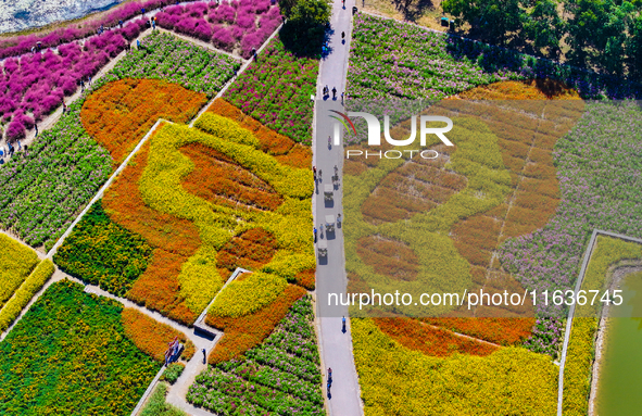 Tourists play among the blooming flowers at Santaishan National Forest Park in Suqian, China, on October 4, 2024. 