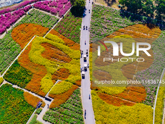 Tourists play among the blooming flowers at Santaishan National Forest Park in Suqian, China, on October 4, 2024. (