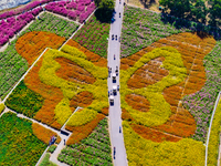 Tourists play among the blooming flowers at Santaishan National Forest Park in Suqian, China, on October 4, 2024. (