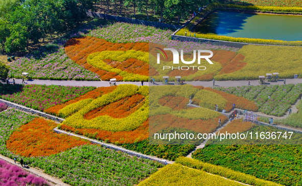 Tourists play among the blooming flowers at Santaishan National Forest Park in Suqian, China, on October 4, 2024. 