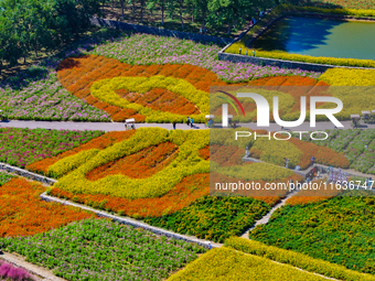 Tourists play among the blooming flowers at Santaishan National Forest Park in Suqian, China, on October 4, 2024. (