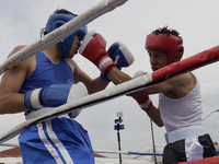 A boxing event takes place in Tepito, Mexico City, on October 4, 2024, where the inhabitants celebrate the Day of St. Francis of Assisi, who...