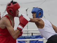 A boxing event takes place in Tepito, Mexico City, on October 4, 2024, where the inhabitants celebrate the Day of St. Francis of Assisi, who...