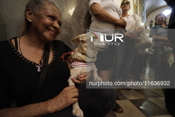 Devotees raise their pets to receive holy water blessings during a mass to bless pets and animals as part of 'World Animal Day' at Iglesia d...