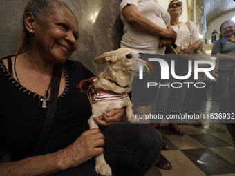 Devotees raise their pets to receive holy water blessings during a mass to bless pets and animals as part of 'World Animal Day' at Iglesia d...