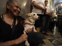 Devotees raise their pets to receive holy water blessings during a mass to bless pets and animals as part of 'World Animal Day' at Iglesia d...