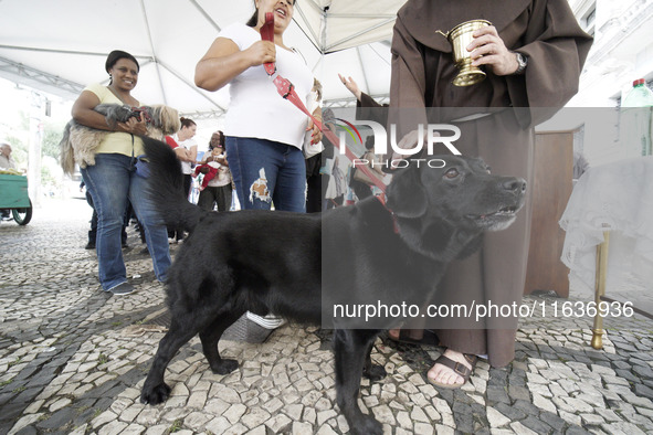 Devotees raise their pets to receive holy water blessings during a mass to bless pets and animals as part of 'World Animal Day' at Iglesia d...