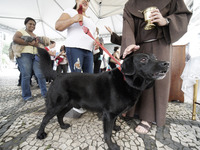 Devotees raise their pets to receive holy water blessings during a mass to bless pets and animals as part of 'World Animal Day' at Iglesia d...