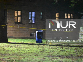 A 39-year-old man, Rahsaun Williams, is shot and killed outside the Pomonok Houses NYCHA complex at 65-16 Parsons Boulevard in the Flushing...