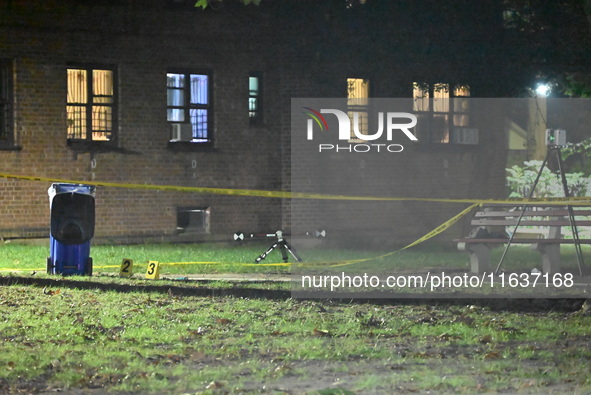 A 39-year-old man, Rahsaun Williams, is shot and killed outside the Pomonok Houses NYCHA complex at 65-16 Parsons Boulevard in the Flushing...