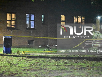 A 39-year-old man, Rahsaun Williams, is shot and killed outside the Pomonok Houses NYCHA complex at 65-16 Parsons Boulevard in the Flushing...