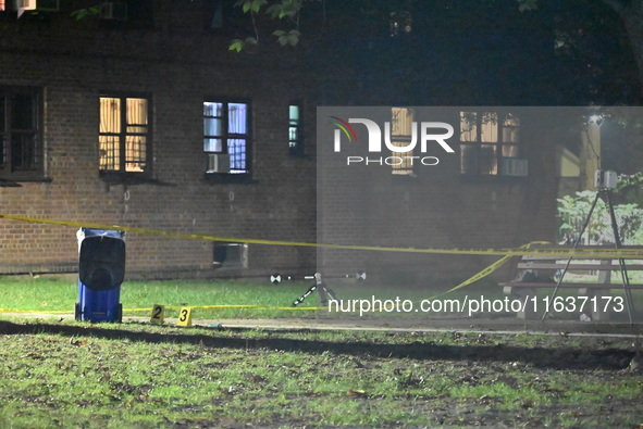 A 39-year-old man, Rahsaun Williams, is shot and killed outside the Pomonok Houses NYCHA complex at 65-16 Parsons Boulevard in the Flushing...