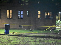 A 39-year-old man, Rahsaun Williams, is shot and killed outside the Pomonok Houses NYCHA complex at 65-16 Parsons Boulevard in the Flushing...