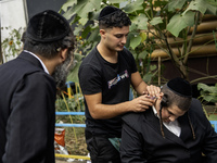 Ultra-Orthodox Jewish Hasidic pilgrims have haircuts on the eve of the Rosh Hashanah holiday, the Jewish New Year, near the tomb of Rabbi Na...