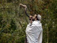 An Ultra-Orthodox Jewish pilgrim blows a shofar on the street near the tomb of Rabbi Nachman while celebrating Rosh Hashanah, the Jewish New...