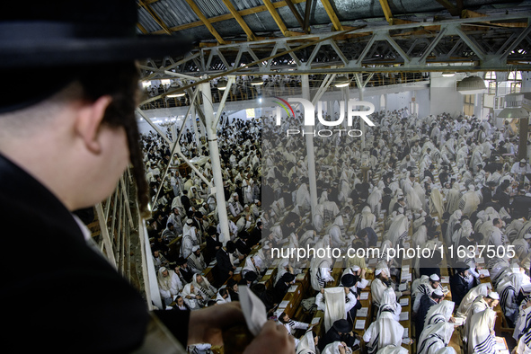 Ultra-Orthodox Jewish Hasidic pilgrims pray in the Synagogue of Bratslav Hasidim near the tomb of Rabbi Nachman on the eve of the Rosh Hasha...