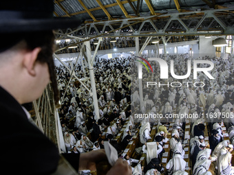 Ultra-Orthodox Jewish Hasidic pilgrims pray in the Synagogue of Bratslav Hasidim near the tomb of Rabbi Nachman on the eve of the Rosh Hasha...